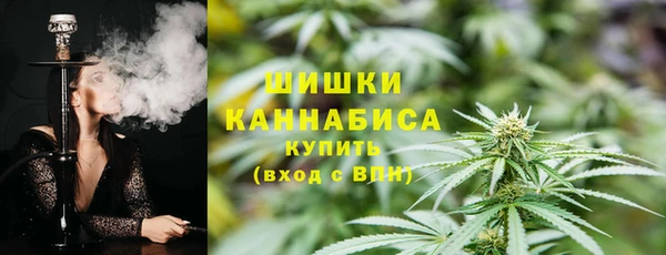 альфа пвп Горнозаводск