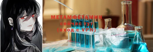 шишки Горно-Алтайск