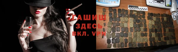 шишки Горно-Алтайск