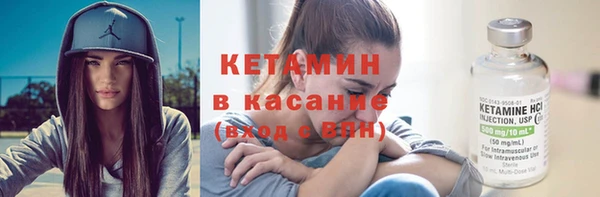 шишки Горно-Алтайск