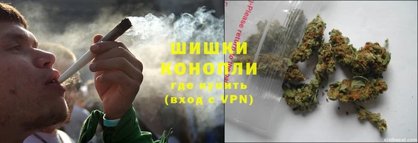 шишки Горно-Алтайск