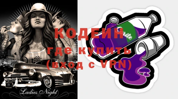 шишки Горно-Алтайск
