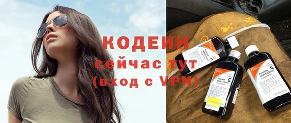 шишки Горно-Алтайск