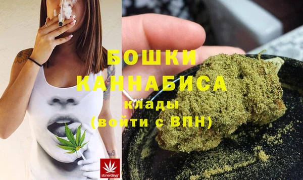 альфа пвп Горнозаводск