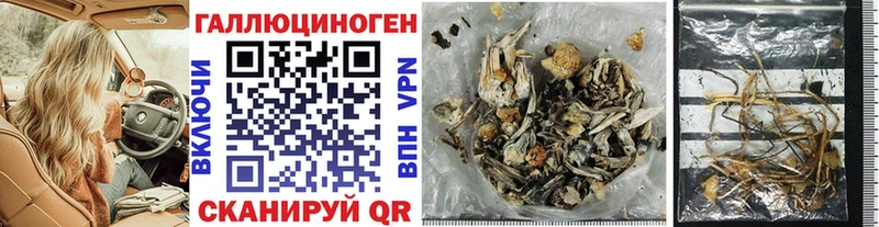 Галлюциногенные грибы MAGIC MUSHROOMS  Купить где  Новосокольники 